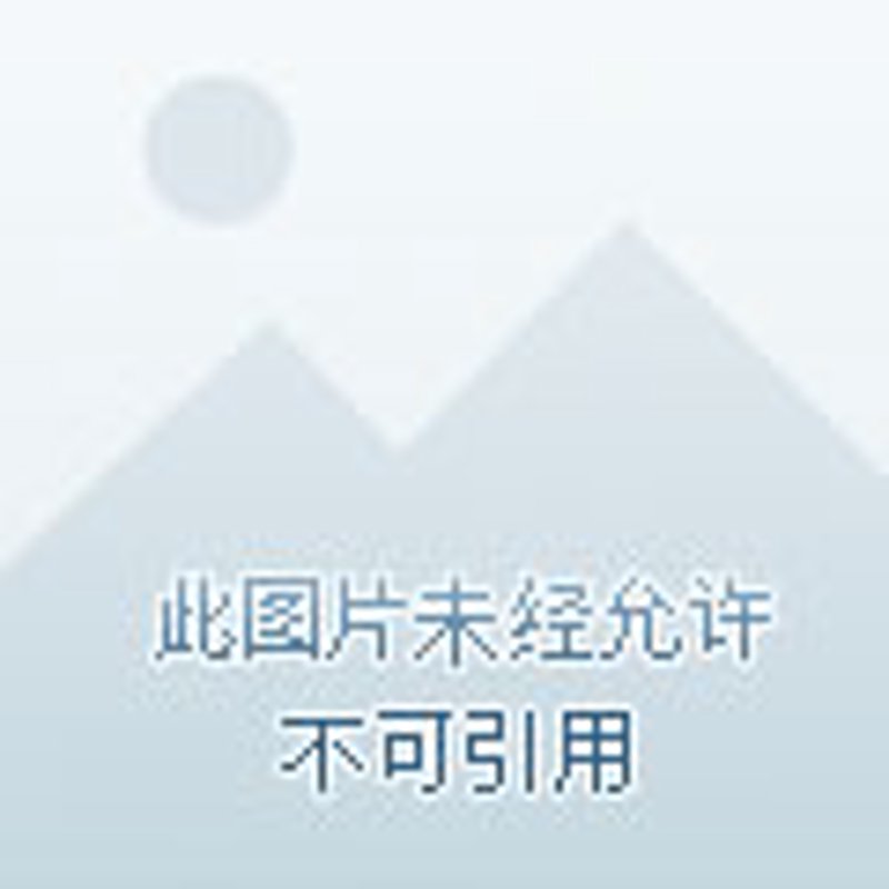 展览策划:打造难忘体验的艺术